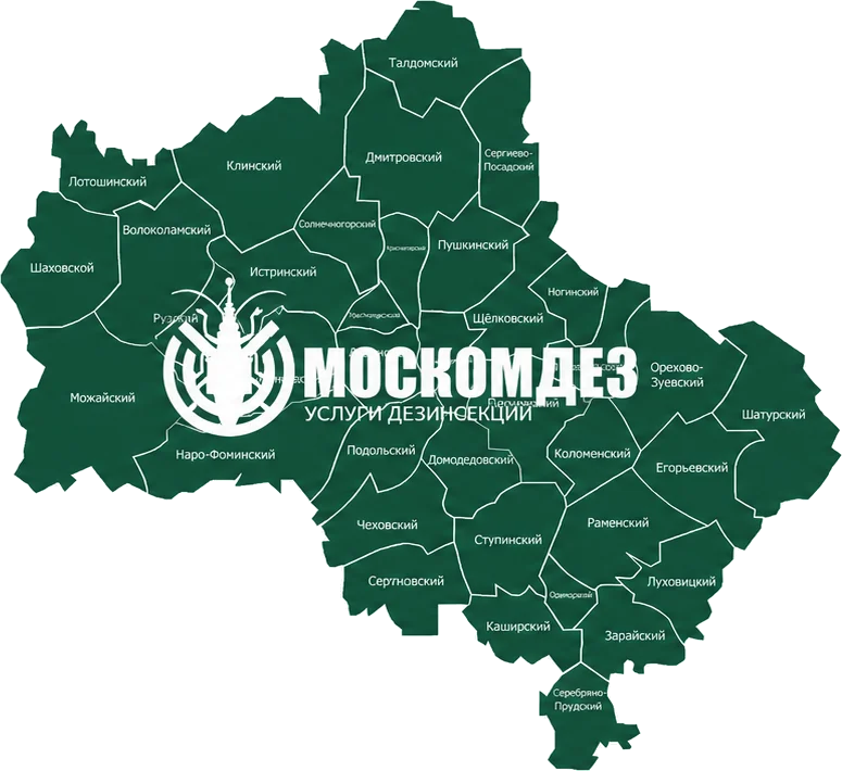 Карта выезда: Ликино-Дулёво и Московская область